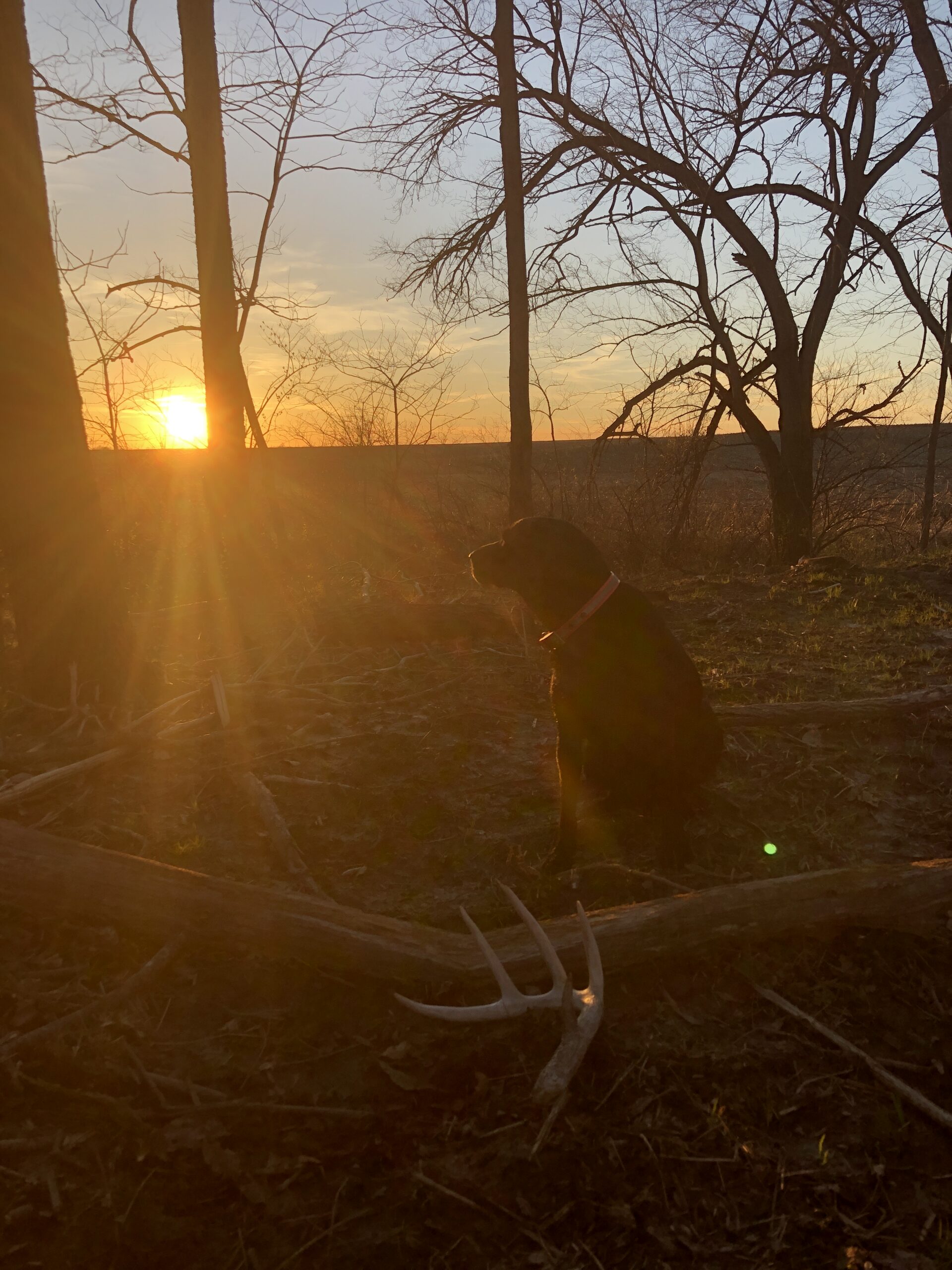Shocking Illinois Deer Hunting Changes For 2024! - 7pzjub2